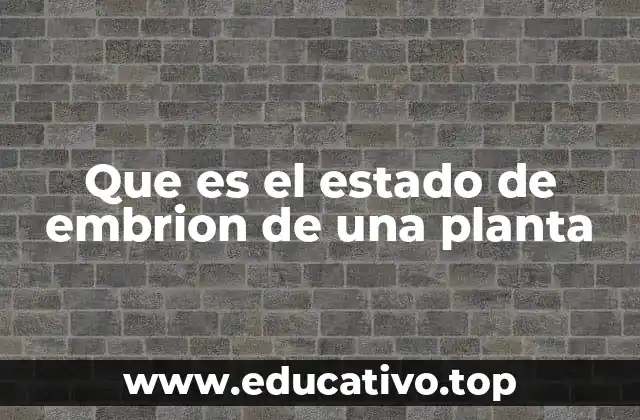 Que es el estado de embrion de una planta