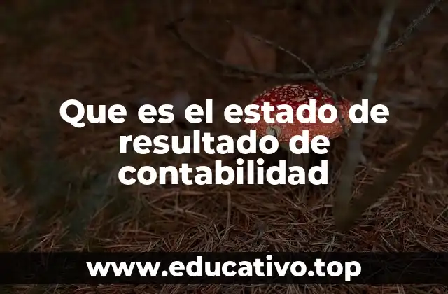 Que es el estado de resultado de contabilidad
