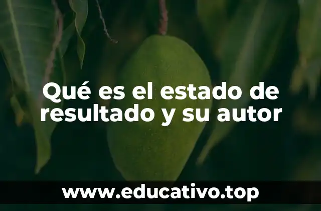 Qué es el estado de resultado y su autor
