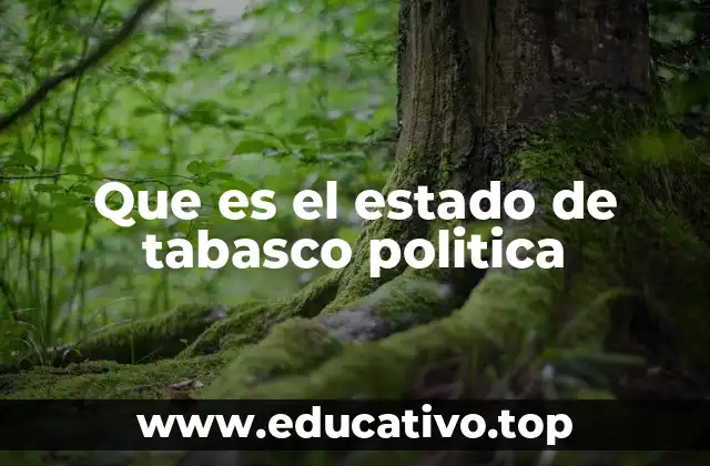 Que es el estado de tabasco politica