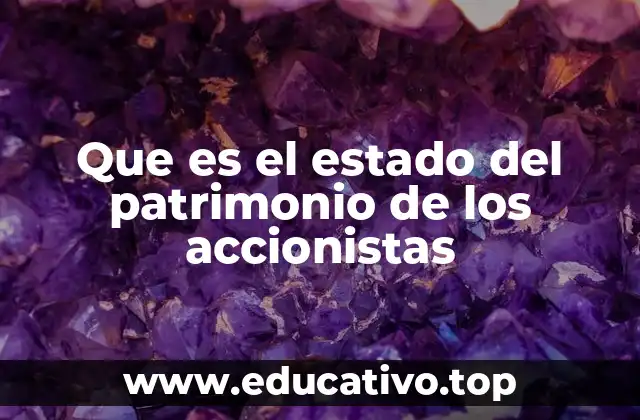 Que es el estado del patrimonio de los accionistas