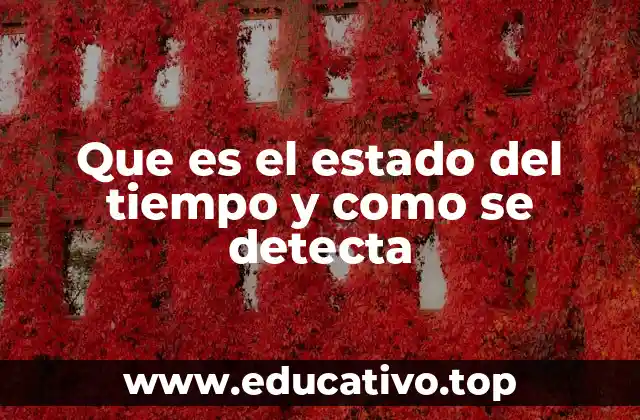 Que es el estado del tiempo y como se detecta