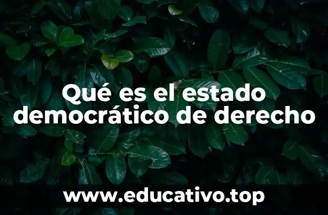 Qué es el estado democrático de derecho