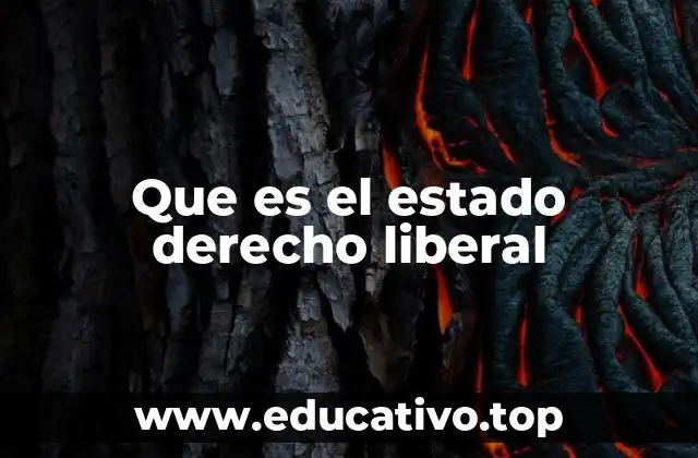 Que es el estado derecho liberal
