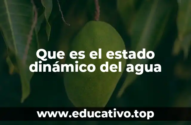 Que es el estado dinámico del agua