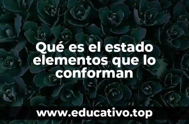 Qué es el estado elementos que lo conforman