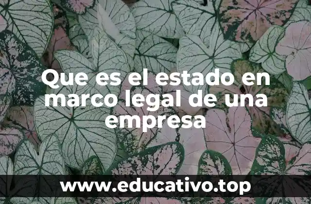 Que es el estado en marco legal de una empresa