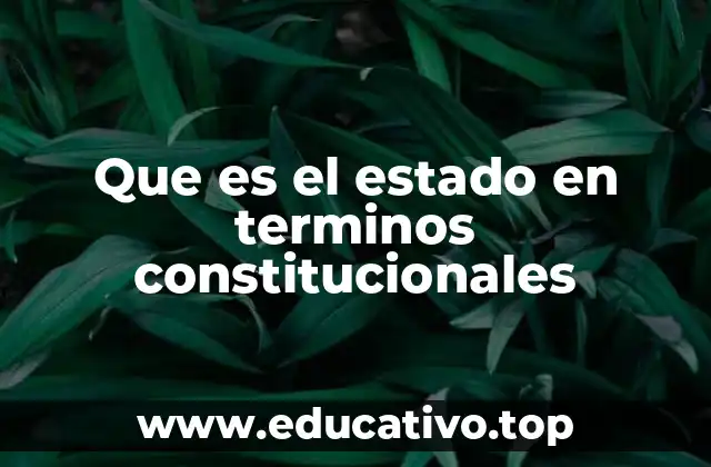 Que es el estado en terminos constitucionales