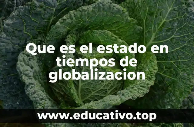 Que es el estado en tiempos de globalizacion