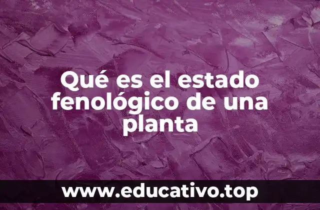 Qué es el estado fenológico de una planta