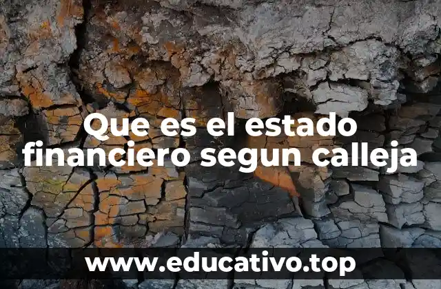 Que es el estado financiero segun calleja