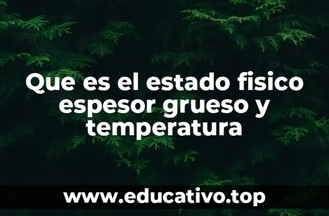 Que es el estado fisico espesor grueso y temperatura