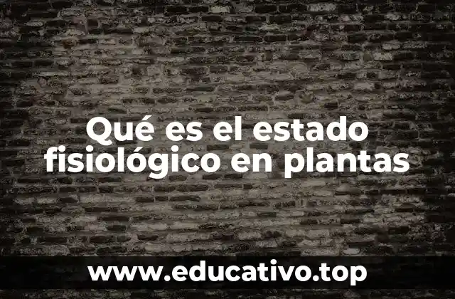 Factores que influyen en la salud de las plantas