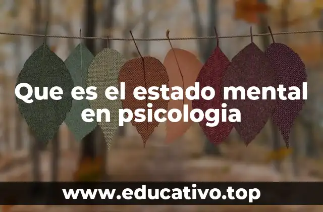 Que es el estado mental en psicologia