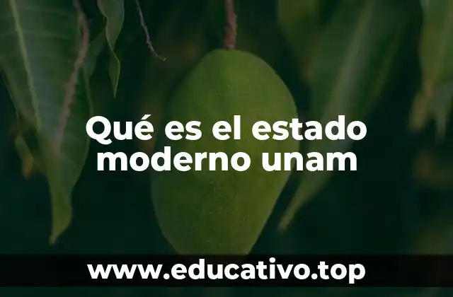 Qué es el estado moderno unam