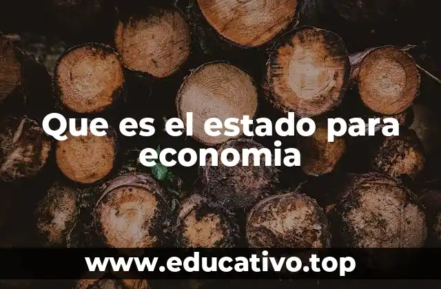 Que es el estado para economia