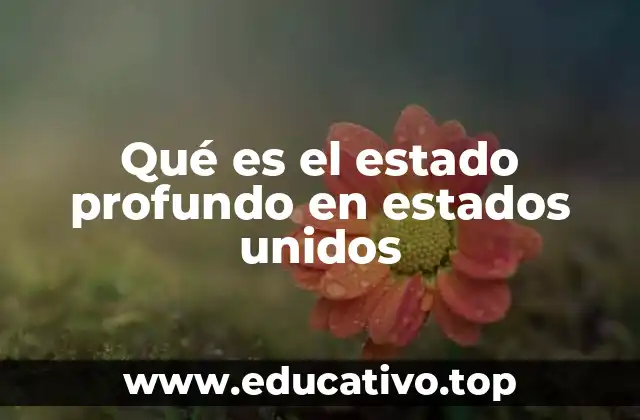 Qué es el estado profundo en estados unidos