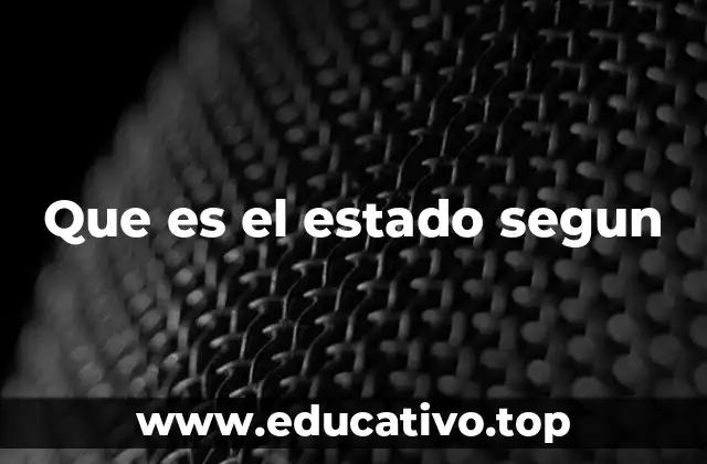 Que es el estado segun