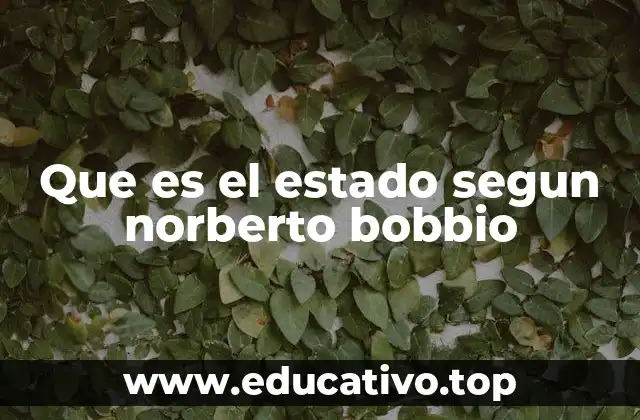 Que es el estado segun norberto bobbio