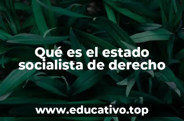 Qué es el estado socialista de derecho