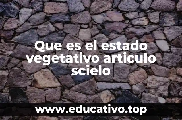 Que es el estado vegetativo articulo scielo