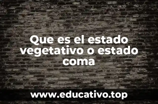 Que es el estado vegetativo o estado coma