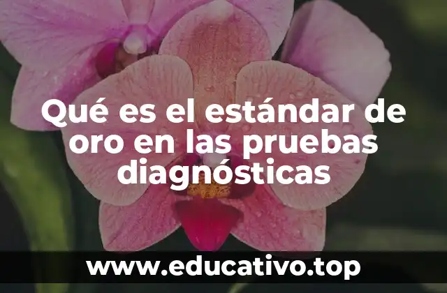 Qué es el estándar de oro en las pruebas diagnósticas