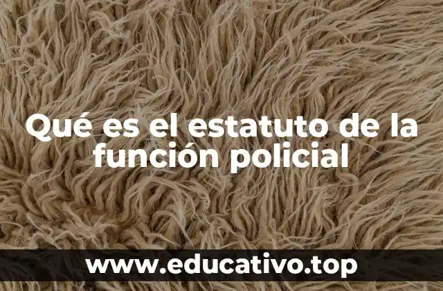 Qué es el estatuto de la función policial