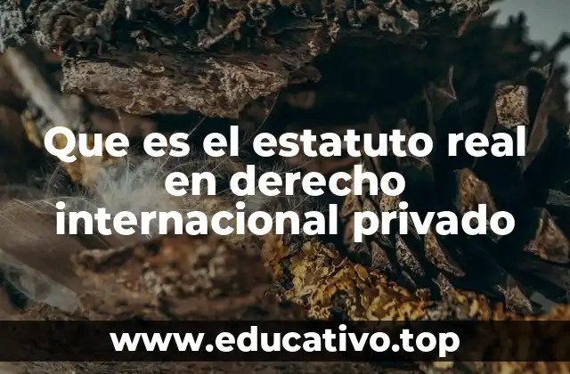 Que es el estatuto real en derecho internacional privado