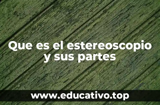Que es el estereoscopio y sus partes