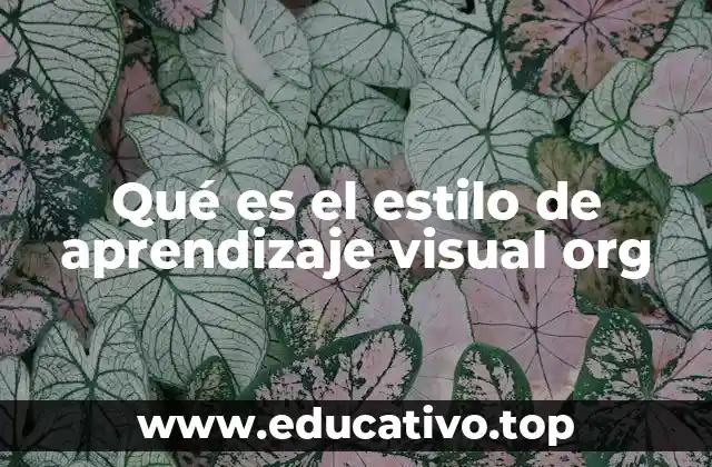 Qué es el estilo de aprendizaje visual org