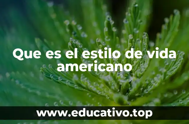 Que es el estilo de vida americano