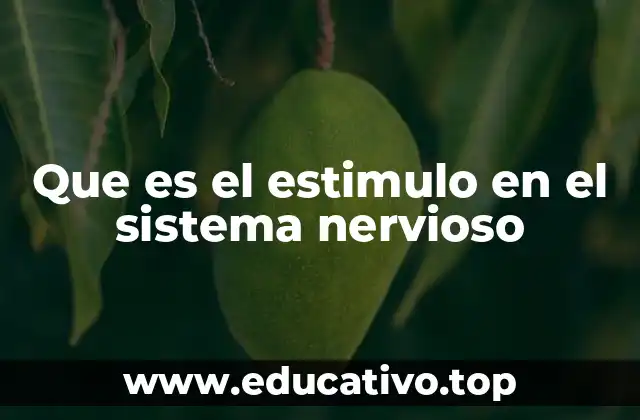 Que es el estimulo en el sistema nervioso