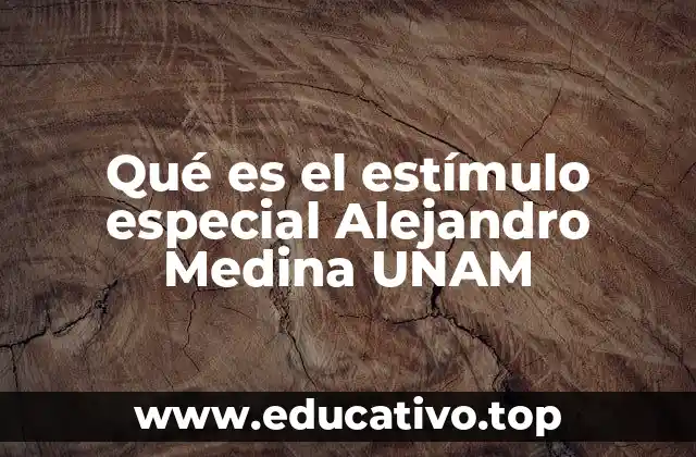 Qué es el estímulo especial Alejandro Medina UNAM