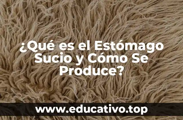 ¿Qué es el Estómago Sucio y Cómo Se Produce?