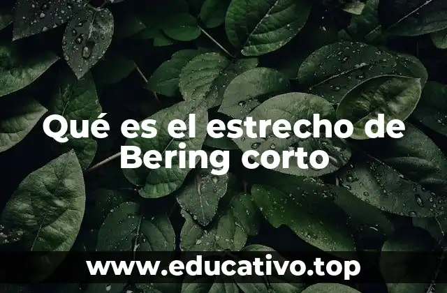 Qué es el estrecho de Bering corto