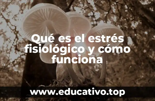 Qué es el estrés fisiológico y cómo funciona