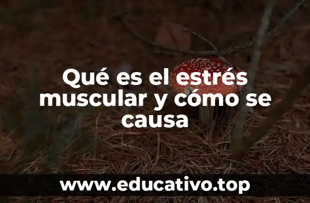 Qué es el estrés muscular y cómo se causa