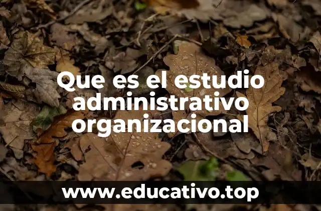 Que es el estudio administrativo organizacional