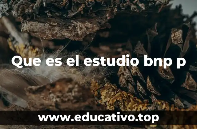 Que es el estudio bnp p