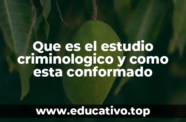 Que es el estudio criminologico y como esta conformado