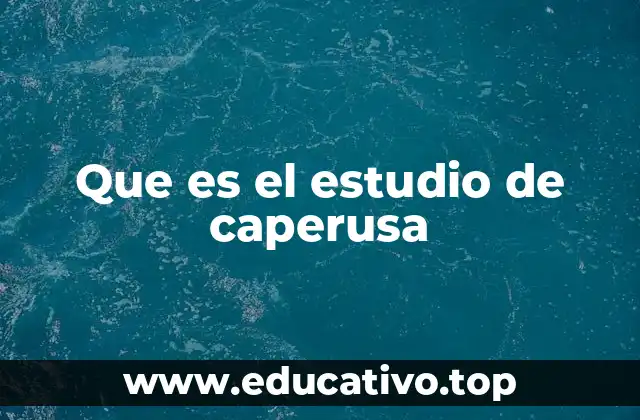 Que es el estudio de caperusa