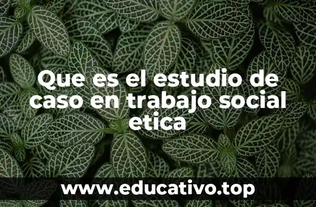 Que es el estudio de caso en trabajo social etica