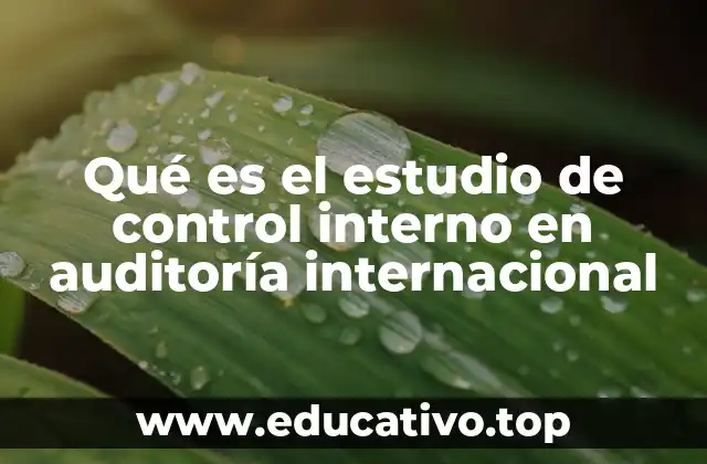 La importancia del análisis de controles internos en entornos globales
