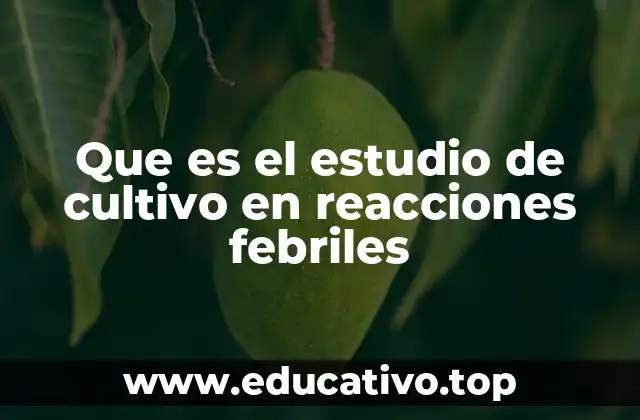 El papel del laboratorio en la detección de infecciones