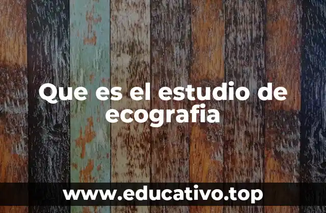 Que es el estudio de ecografia