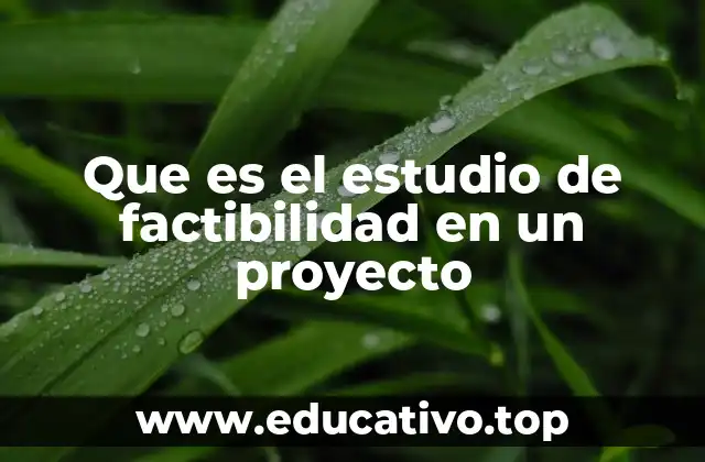 Que es el estudio de factibilidad en un proyecto