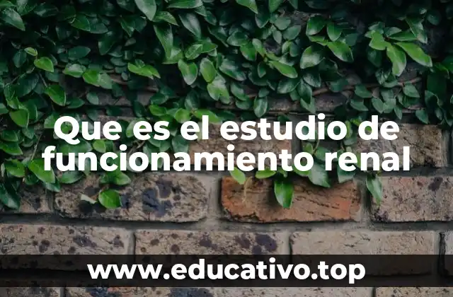 Que es el estudio de funcionamiento renal
