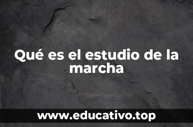 Qué es el estudio de la marcha