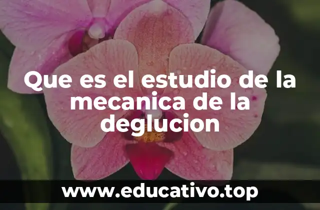 Que es el estudio de la mecanica de la deglucion